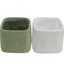 Artikel Plantenbak keramiek wit groen reliëf mesh 12,5x12,5cm H9cm 2st