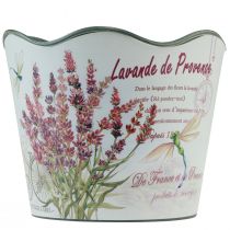 Artikel Plantenbak kunststof lavendel bloempot Ø13,5cm H12cm
