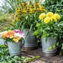 Artikel Plantenbak metaal met handgrepen vintage decoratie Ø26/20/17cm set van 3