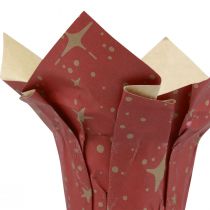 Artikel Plantenbak papier sterren rood/antraciet/naturel Ø4,5cm H6cm 9 stuks