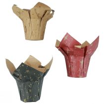 Plantenbak papier sterren rood/antraciet/naturel Ø9,5cm H10cm 9 stuks