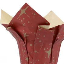 Plantenbak papier sterren rood/antraciet/naturel Ø9,5cm H10cm 9 stuks