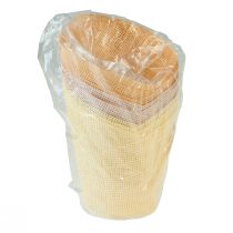 Artikel Plantenbakpapier geweven vanille, oranje, roze Ø7cm H13cm 12 st