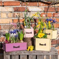 Plantenlade hout deco paars 25×13×9cm