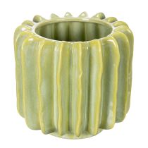 Artikel Cactusbloempot, ideale schaal voor exotische woonaccessoires, 16 cm