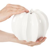 Artikel Decoratieve vaas in de vorm van een pompoen, glanzend, herfstdecoratie voor de woonkamer, 19 cm