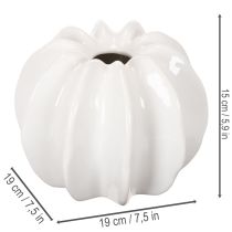 Artikel Decoratieve vaas in de vorm van een pompoen, glanzend, herfstdecoratie voor de woonkamer, 19 cm