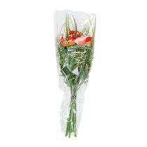 Artikel Verpakkingstrechter A L66cm B35cm - 10cm 50 st