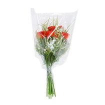 Artikel Verpakkingstrechter B L70cm B60cm - 20cm 50 st.