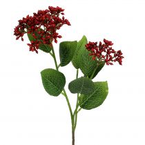 Bessentak Rode planten van viburnum 54cm 4st