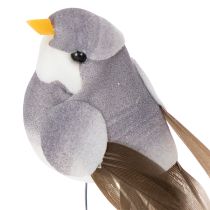 Artikel Decoratieve vogels, kunstmatige woondecoratie, lente, met kleurrijk verenkleed van echte veren, 5 cm, 18 stuks