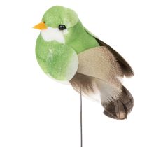 Artikel Decoratieve vogels, kunstmatige woondecoratie, lente, met kleurrijk verenkleed van echte veren, 5 cm, 18 stuks