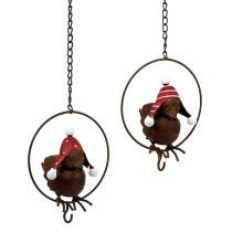 Artikel Vogel in ring als voedselhanger Ø12,5cm L45cm 2st