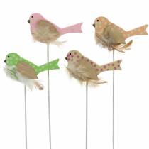 Decoratieve plug vogel hout groen, roze, geel, oranje assorti 7cm x 4cm H24cm 16st