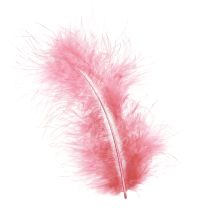 Artikel Vogelveren ambachtelijke veren in roze lente Pasen 20g