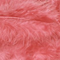Artikel Vogelveren ambachtelijke veren in roze lente Pasen 20g