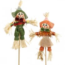 Vogelverschrikker om te versieren op de stok herfstdecoratie 24st