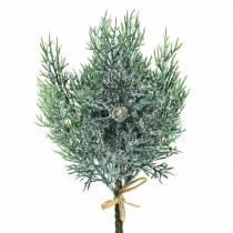 Deco tak jeneverbes met kegels green-iced, gewassen blauw 25cm 2st.