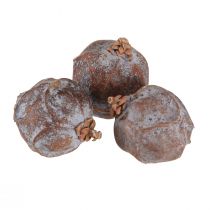 Artikel Jeneverbes kegels Syrische jeneverbes naturel Ø1,5–2,5cm 1kg