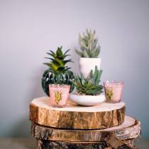 Artikel Waskaars in glazen cactus Ø6,5cm 2st