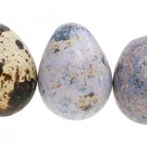 Kwartelei mix paars, violet, naturel lege eieren als decoratie 3cm 65st