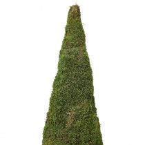 Artikel Kerstboom mosboom decoratie in groen naturel Ø25cm H70cm