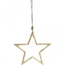 Artikel Kerstdecoratie ster, adventsdecoratie, ster hanger Golden B24.5cm