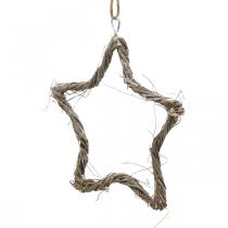 Artikel Kerstdecoratie ster iep sterren om op te hangen white wash 20cm 4st