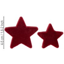 Artikel Kerstdecoratie, sterren, bordeauxrood fluweelachtig, tafeldecoratie, 4-5 cm, 40 stuks