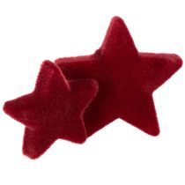 Artikel Kerstdecoratie, sterren, bordeauxrood fluweelachtig, tafeldecoratie, 4-5 cm, 40 stuks