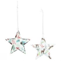 Artikel Kerstversiering: ster, hert, dennentakken, bessen, Ø8cm, set van 6 decoratieve hangers, kerstboomversiering