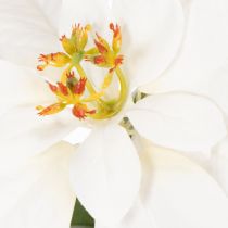 Artikel Kunstmatige kerstster, wit, grote bloem, decoratieve plant, 40 cm