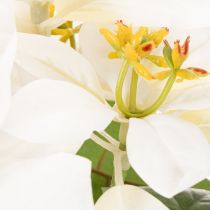 Artikel Kunstmatige kerstster, wit, grote bloem, decoratieve plant, 40 cm