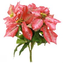 Artikel Kunst Poinsettia Rood Roze L35cm 6st 2 bosjes