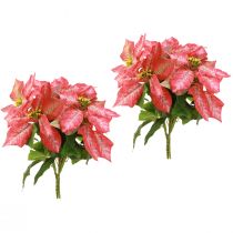 Artikel Kunst Poinsettia Rood Roze L35cm 6st 2 bosjes