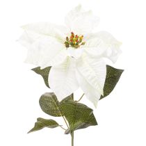 Artikel Kunstmatige witte poinsettia, grote bloeiende takdecoratie, 65 cm, 2 stuks