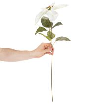 Artikel Kunstmatige witte poinsettia, grote bloeiende takdecoratie, 65 cm, 2 stuks