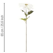 Artikel Kunstmatige witte poinsettia, grote bloeiende takdecoratie, 65 cm, 2 stuks