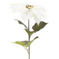 Artikel Kunstmatige witte poinsettia, grote bloeiende takdecoratie, 65 cm, 2 stuks