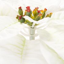 Artikel Kunstmatige witte poinsettia, grote bloeiende takdecoratie, 65 cm, 2 stuks