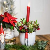 Artikel Kerstpot met kabouter, adventdecoratie, betonnen plantenbak wit, rood Ø8cm H12.5cm 2st
