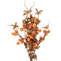 Artikel Kunstmatige meidoorntak, herfstdecoratie, 75 cm