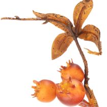 Artikel Kunstmatige meidoorntak, herfstdecoratie, 75 cm