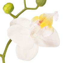 Artikel Witte orchideeën kunstbloemen in pot Phalaenopsis H33cm