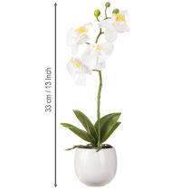 Artikel Witte orchideeën kunstbloemen in pot Phalaenopsis H33cm