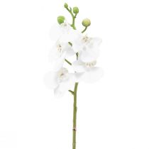 Artikel Witte kunstorchidee Phalaenopsis Real Touch 32cm