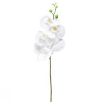 Witte kunstorchidee Phalaenopsis Real Touch 85cm