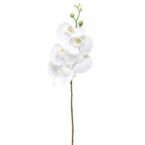 Artikel Witte kunstorchidee Phalaenopsis Real Touch 85cm