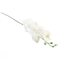 Artikel Witte kunstorchidee Phalaenopsis Real Touch 85cm
