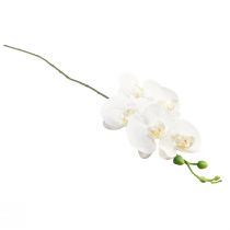 Artikel Witte Orchidee Kunst Phalaenopsis Real Touch H83cm